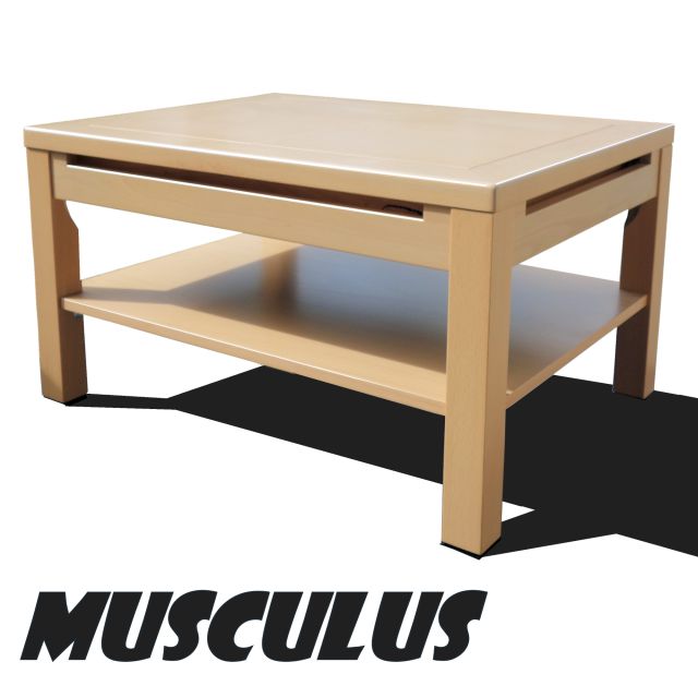 Musculus
